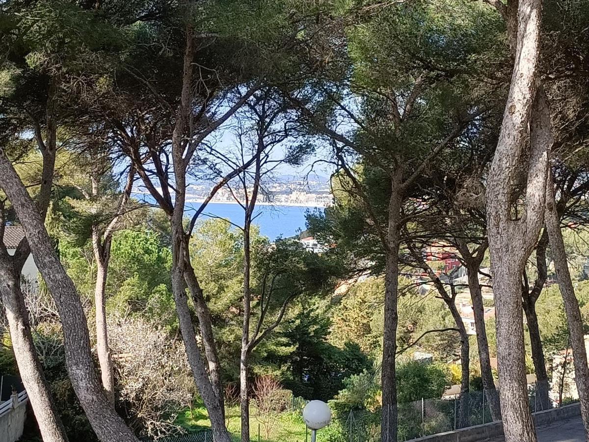 Appartement T2 Sanary Sur Mer Exterior photo